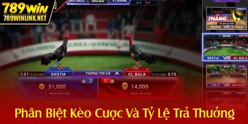 Phân Biệt Kèo Cược Và Tỷ Lệ Trả Thưởng