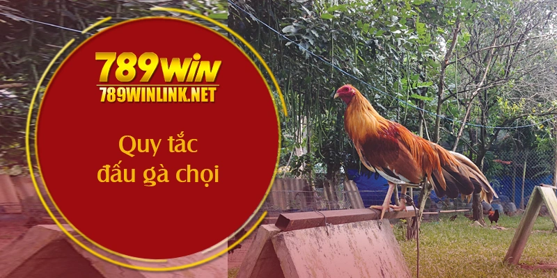 quy tac dau ga choi