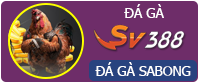 Đá gà Sabong